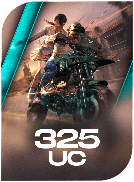 PUBG Mobile 325 UC