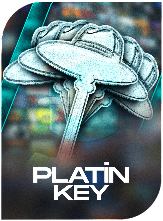 Steam Platin Random Key