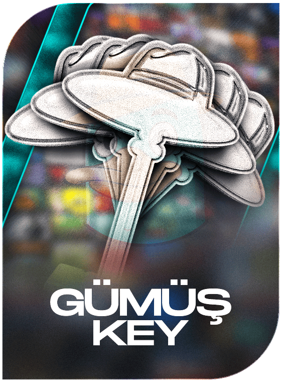 Steam Gümüş Random Key
