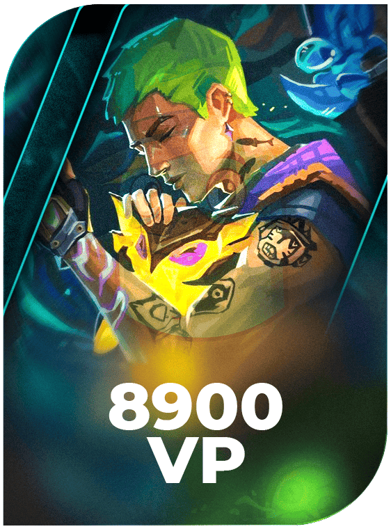Valorant 8900 VP